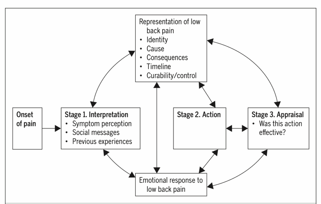 back pain and how mindset like fear avoidance or resiliency can effect you